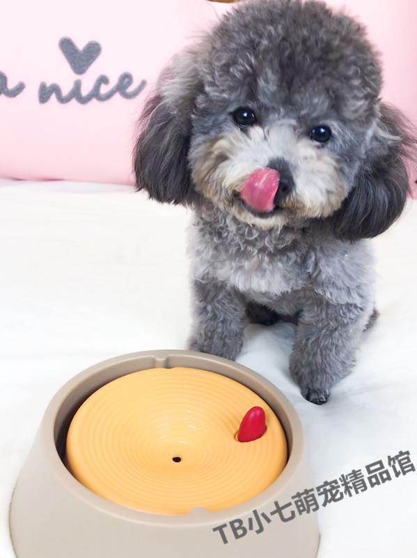 狗狗中暑放在空调房降温可以吗,天气太热狗狗中暑死亡