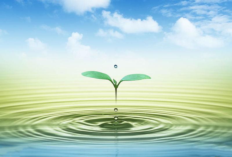 德慧智教育理念,德慧智教育深度解析