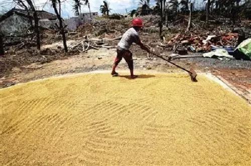 种土地吉祥话顺口溜教程,想要种好地种地口诀要记牢