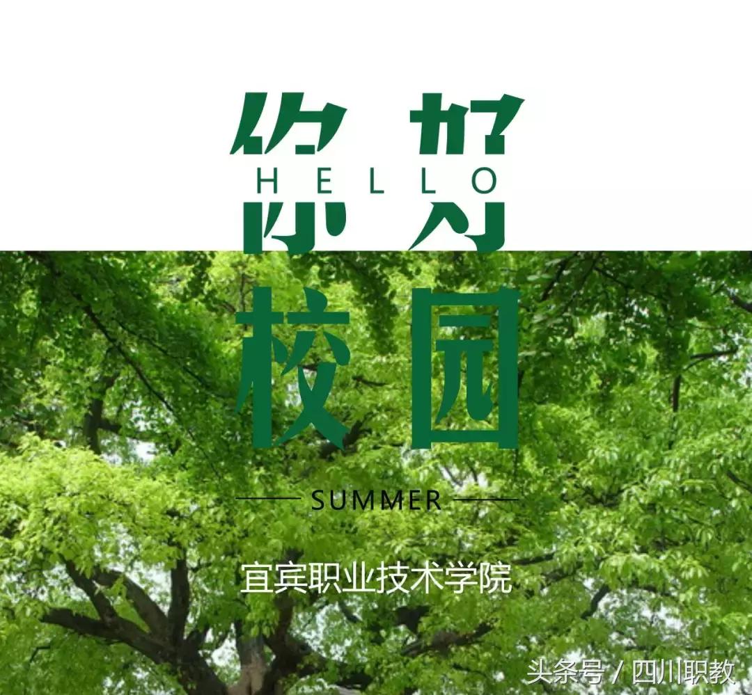 四川最美的高职院校，现在的大学校园环境真的很不错