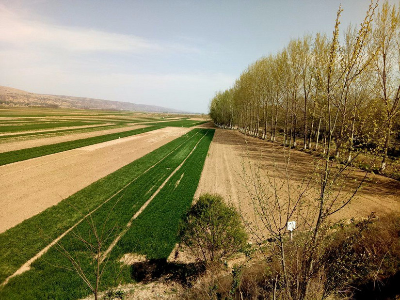 三友一日游,三友摩托车适合跑长途吗