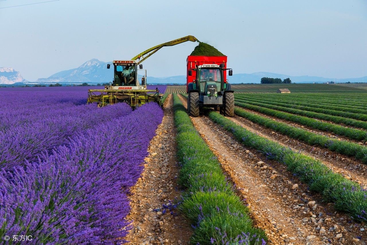 这几个数字，就知道为何4万平方公里的土地，农产品出口世界第二