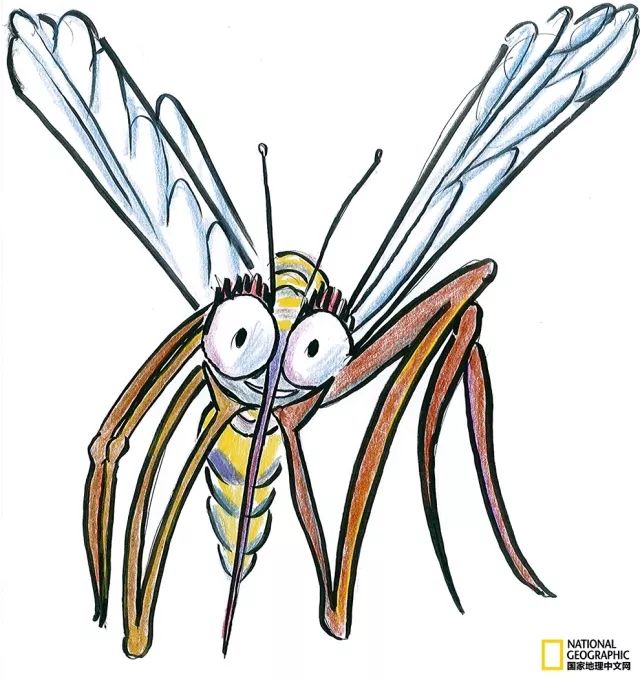 打球了吧？被咬了吧？没想到球场有蚊子吧？快拿好球场防蚊*法大**！