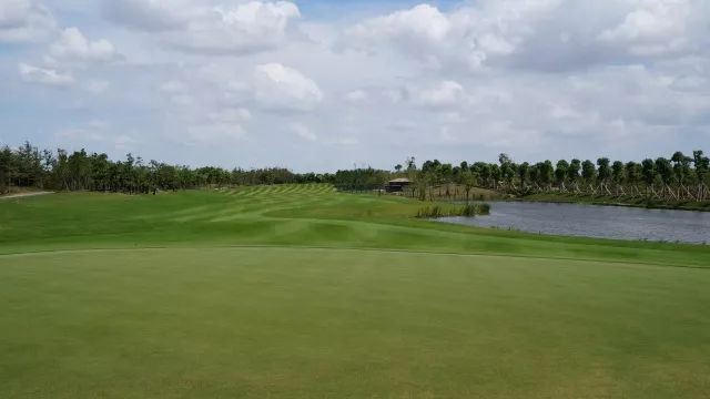 打球了吧？被咬了吧？没想到球场有蚊子吧？快拿好球场防蚊*法大**！