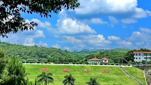 盘点梅西在足球场上,足坛里的梅西视频