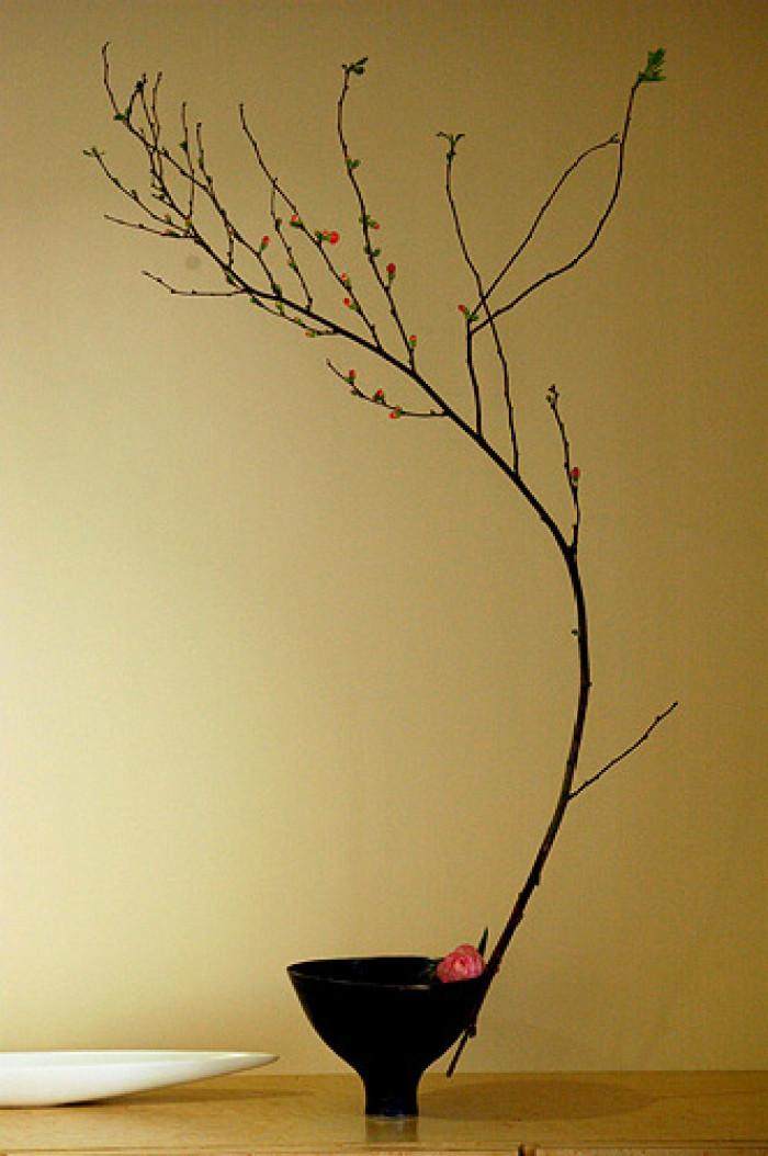 十二星座处女座和金牛座,十二星座最漂亮的插画