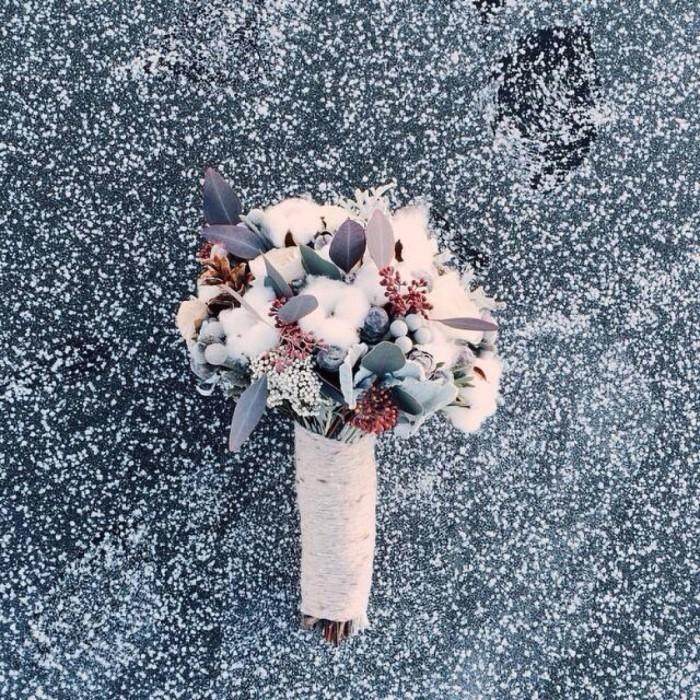 十二星座处女座和金牛座,十二星座最漂亮的插画