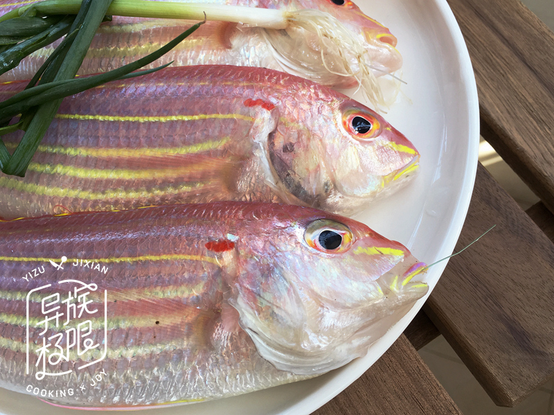 海钓料理鱼料,海钓用什么肉类最好吃