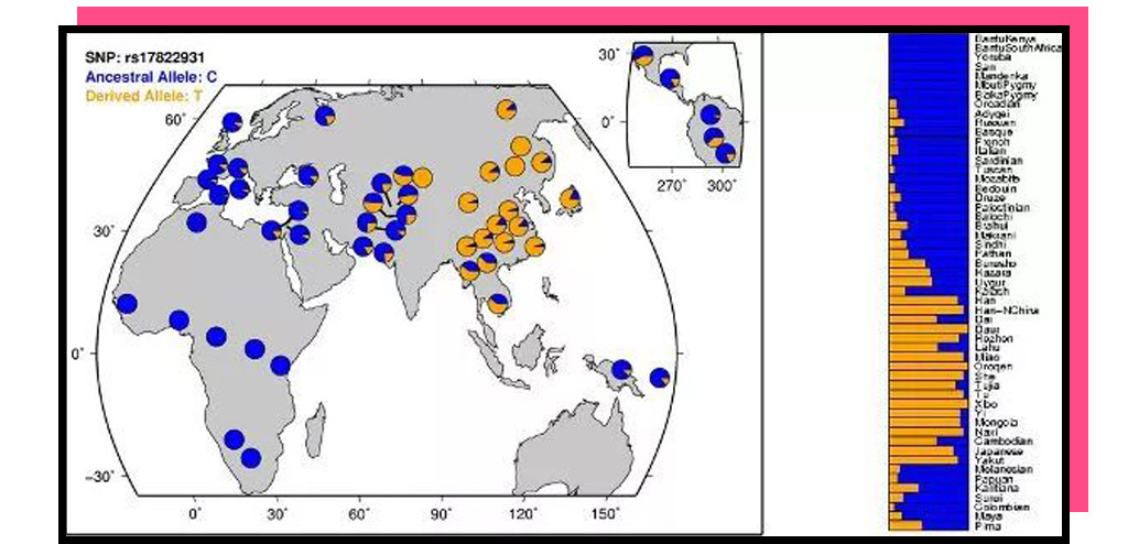 被体味毁掉的中国姑娘！