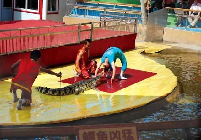 秦皇岛沙雕海洋公园门票,秦皇岛沙雕海洋乐园