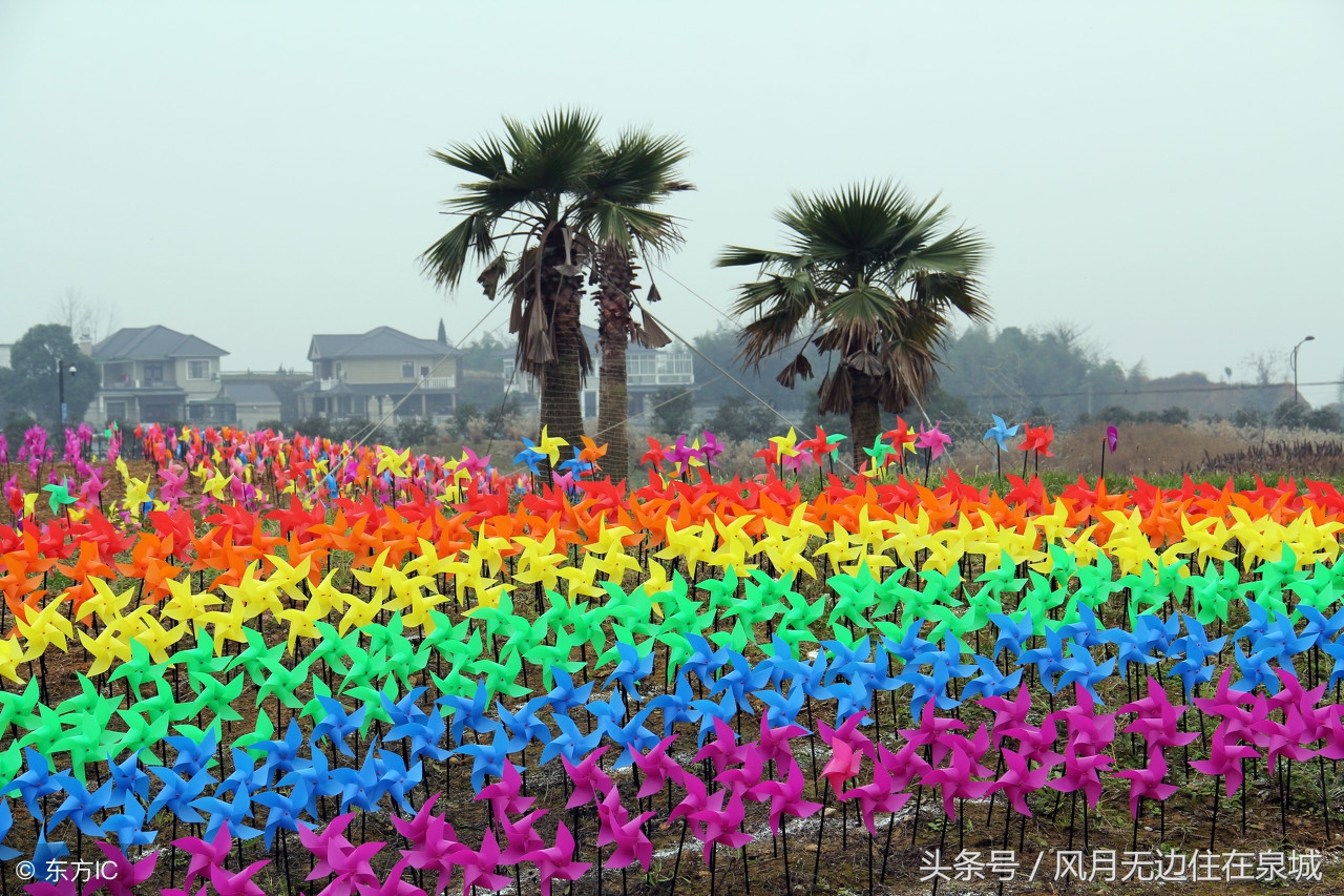 明年起哪些费用全部取消,3月1日起哪些费用全部取消