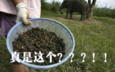 甄嬛传羞羞香的作用,甄嬛传里的羞羞香是啥