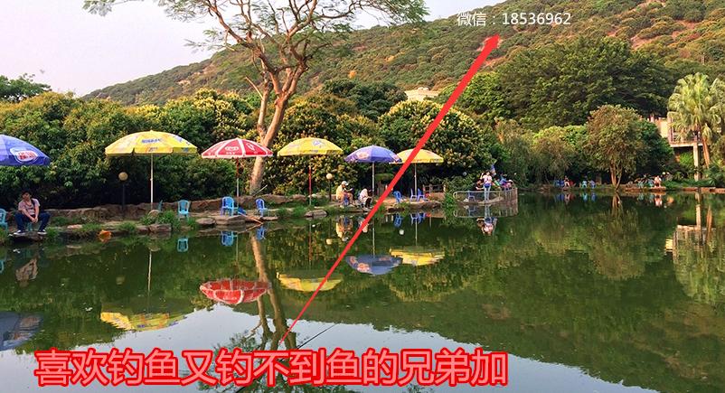 台钓拉饵制作视频,台钓拉饵的正确方法