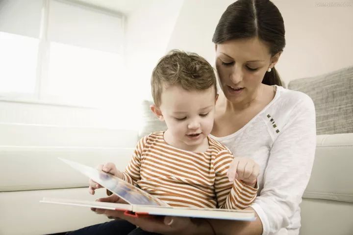 36个月宝贝早教,36岁早教益智视频