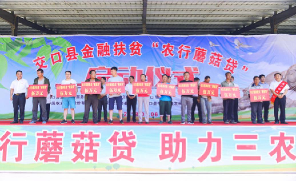 鑴辫传鏀诲潥鏀跨瓥灏忛淇¤捶,鑴辫传鏀诲潥灏忛淇¤捶鏀跨瓥