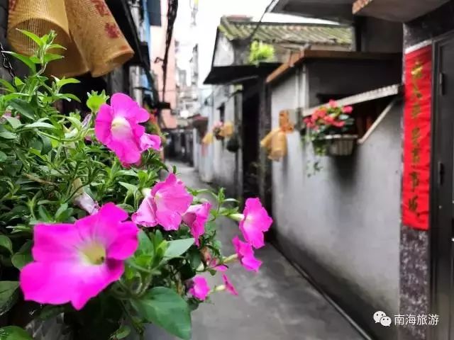 南海广场商圈,南海购物广场现状