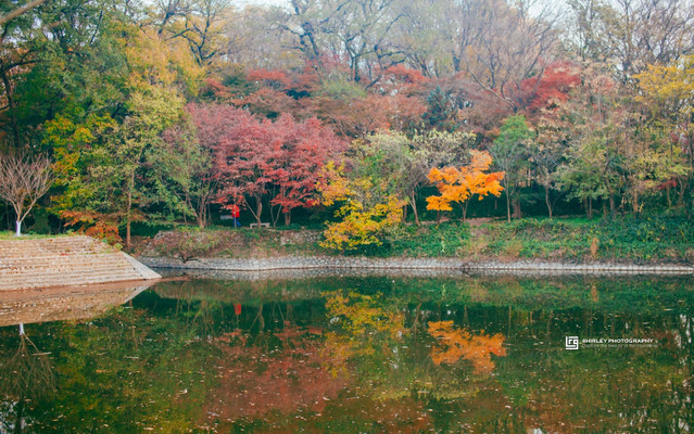 盘点被抖音带火的旅游城市,南京有啥小众好玩的
