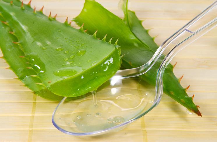芦荟胶怎么用效果会更好,芦荟胶到底怎么用效果最好呢