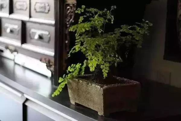 这样的书房设计你们喜欢吗,这样的书房设计你喜欢吗