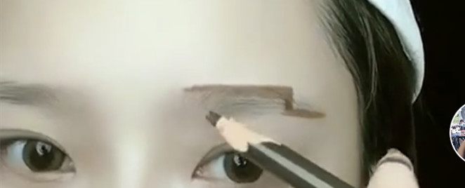 画眉教程推荐适合新手,画眉推荐初学者