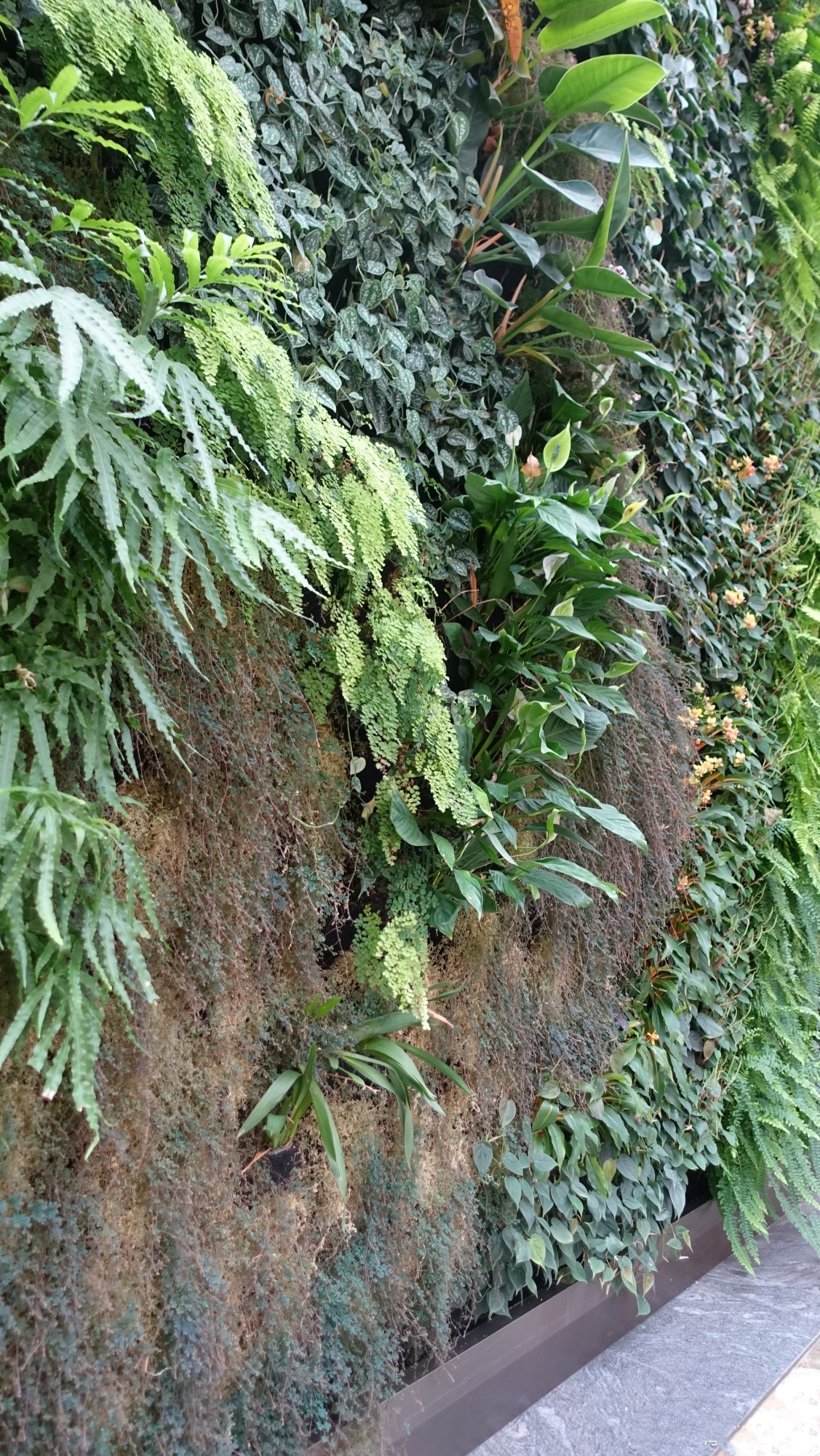 一个被人忽略的旅游城市,一个被低估的城市