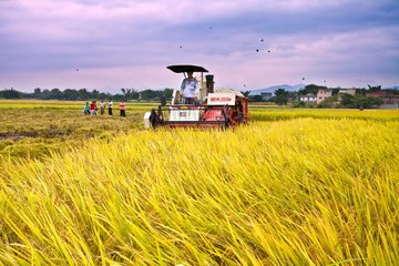浅谈一下农业新模式,智慧农业的思路和策略