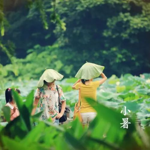 小暑｜竹喧先觉雨，山暗已闻雷，入伏倒计时啦！