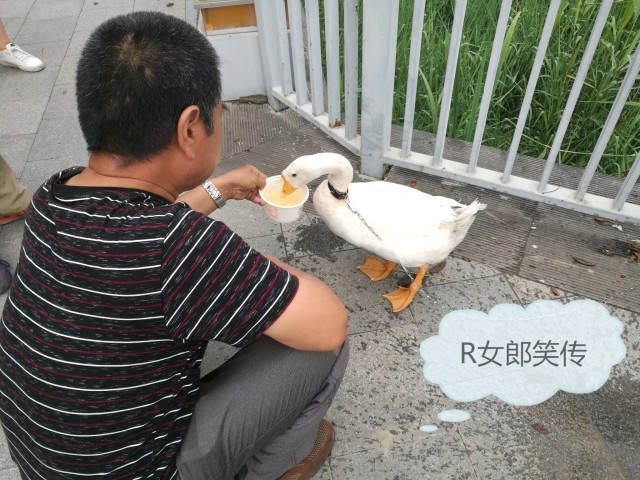 你知道吗？都市爆笑喜剧《R女郎笑传》终于杀青啦！