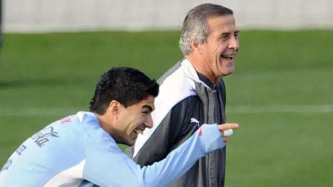 乌拉圭足球世界杯巅峰时期,聚焦世界杯法国