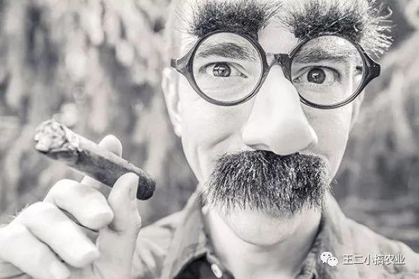 农民版我不是药神,我不是药神朱耕佑片段