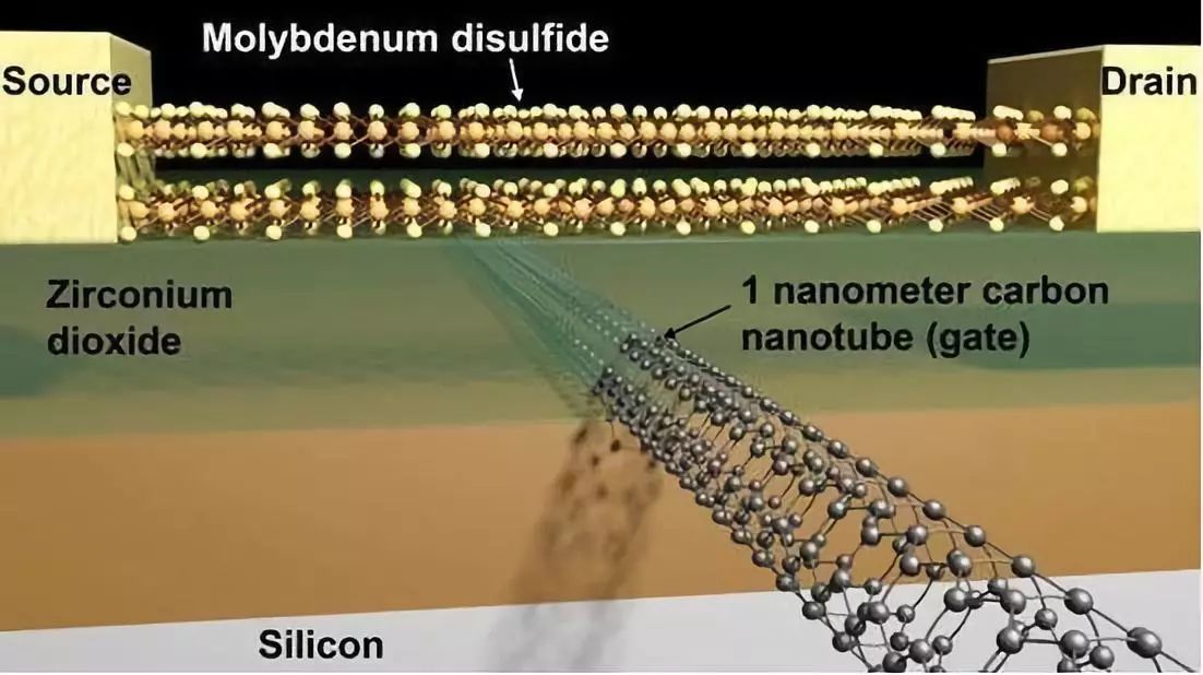 她曾深陷“诺奖级”学术丑闻，潜心耕耘靠人造皮肤爬回巅峰