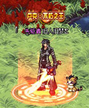 dnf追忆之装扮合成器几率,dnf站街武器外观