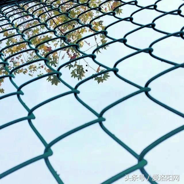 再见再见渡边淳一小说简介,再见原作