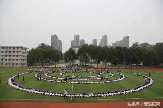 再见再见渡边淳一小说简介,再见原作