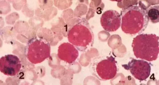 我不是药神完整版免费,我不是药神究竟有多好