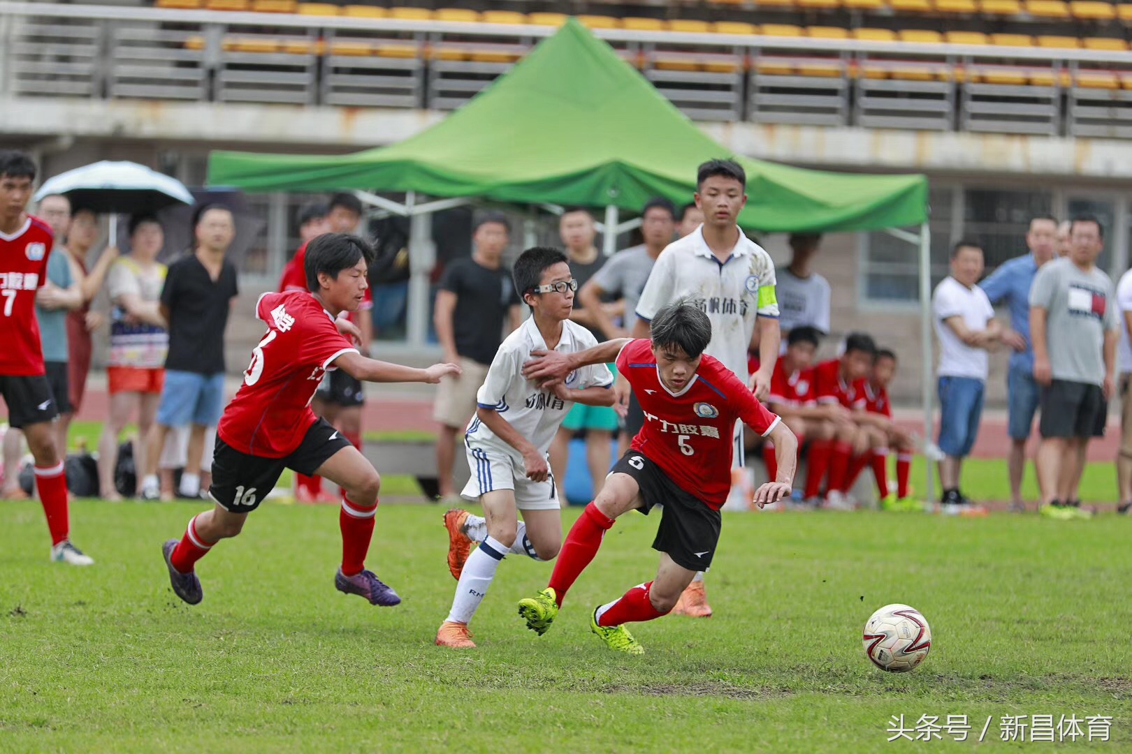 青少年足球比赛小学直播,少年足球联赛新昌县