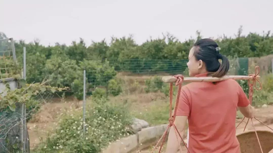 农村妇女玩手机卖出300万斤水果，年入千万，她就靠这几招！