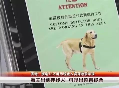 在香港超过7天会怎样处罚,去香港旅游被罚款怎么办