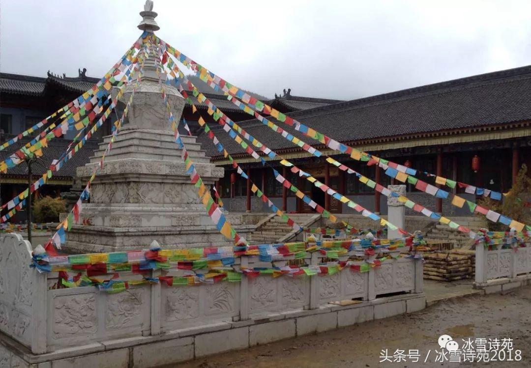 「诗家风采」杜先刚｜归乡偶记