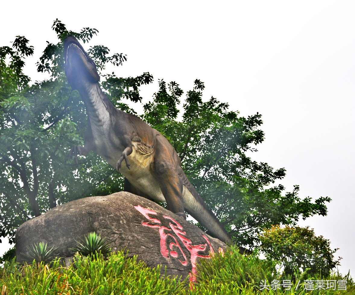 自贡恐龙博物馆展示是真恐龙吗,自贡恐龙博物馆可以现场购票吗