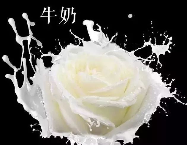 适合新手入手的蜜蜡,蜜蜡分类及图解大全