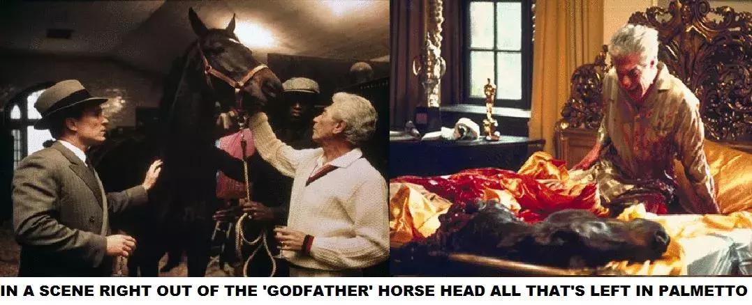 面对尸体，在野外这些野生动物会有什么反应