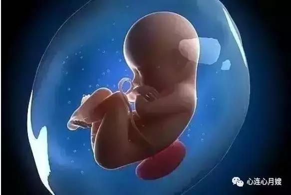 三级b超单看得清胎儿鼻子,产检三级和二级的区别