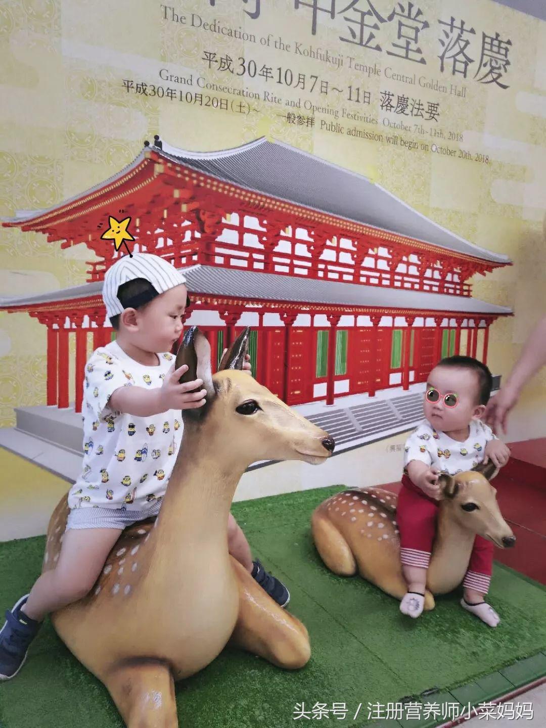 第一次带娃出国就选这！攻略都准备好啦