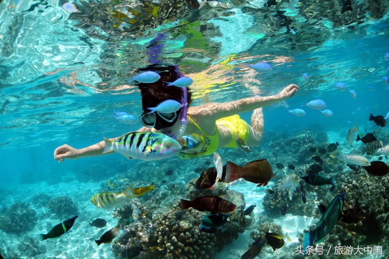 泰国普吉岛十大潜水景点介绍,泰国普吉十大潜水景点排名第一名