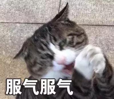 nike你,nike2019年秋冬广告