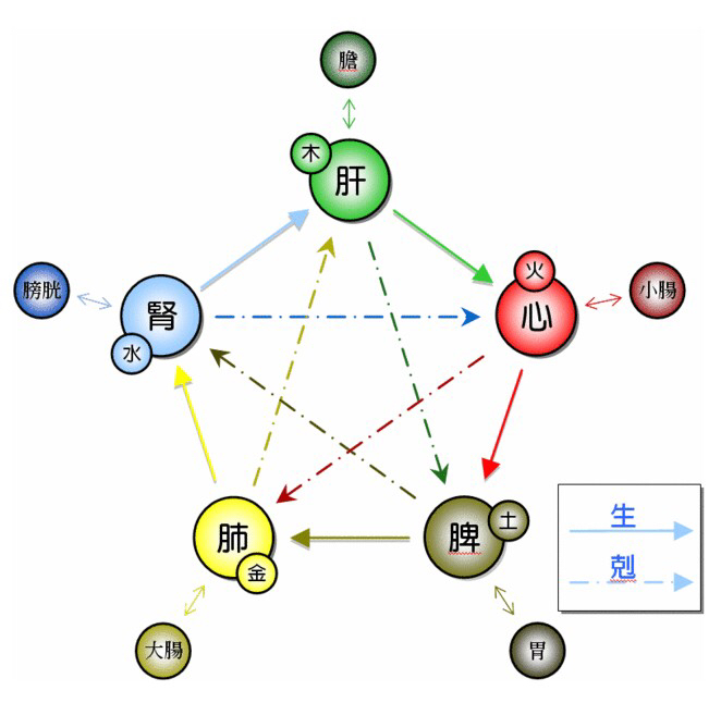 学中医先学阴阳五行八卦,零基础学中医阴阳五行学说