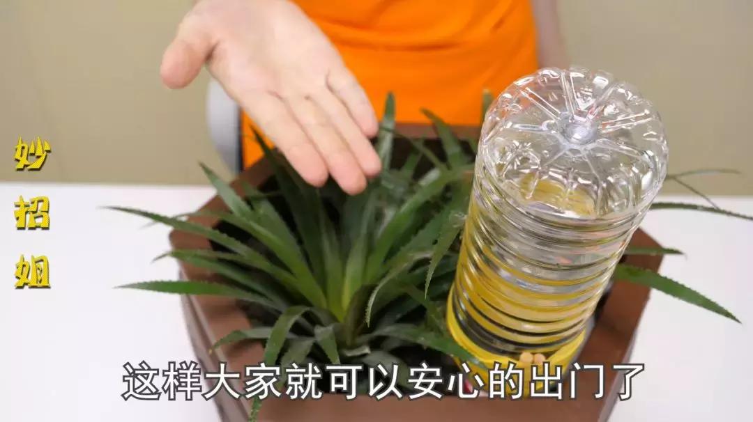 把筷子和塑料瓶绑在一起，解决了家家户户的大难题，省钱又实用