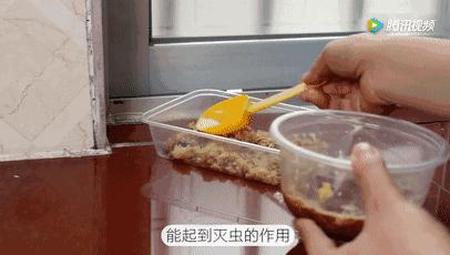 洗衣粉消除蟑螂,一勺洗衣粉家里蟑螂蚊虫全消灭