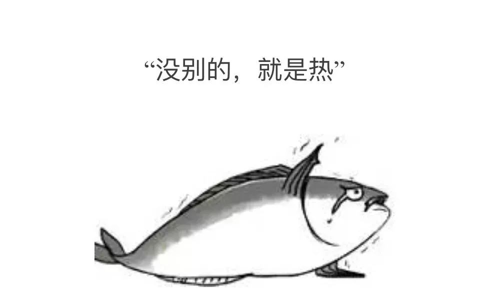 码住不亏!暑期档电影“无锡籍”黄金阵容,了解一下~